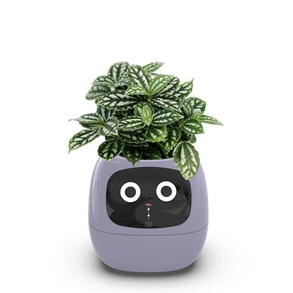 IvyJoy – Smart AI Planter with 49 Expressions